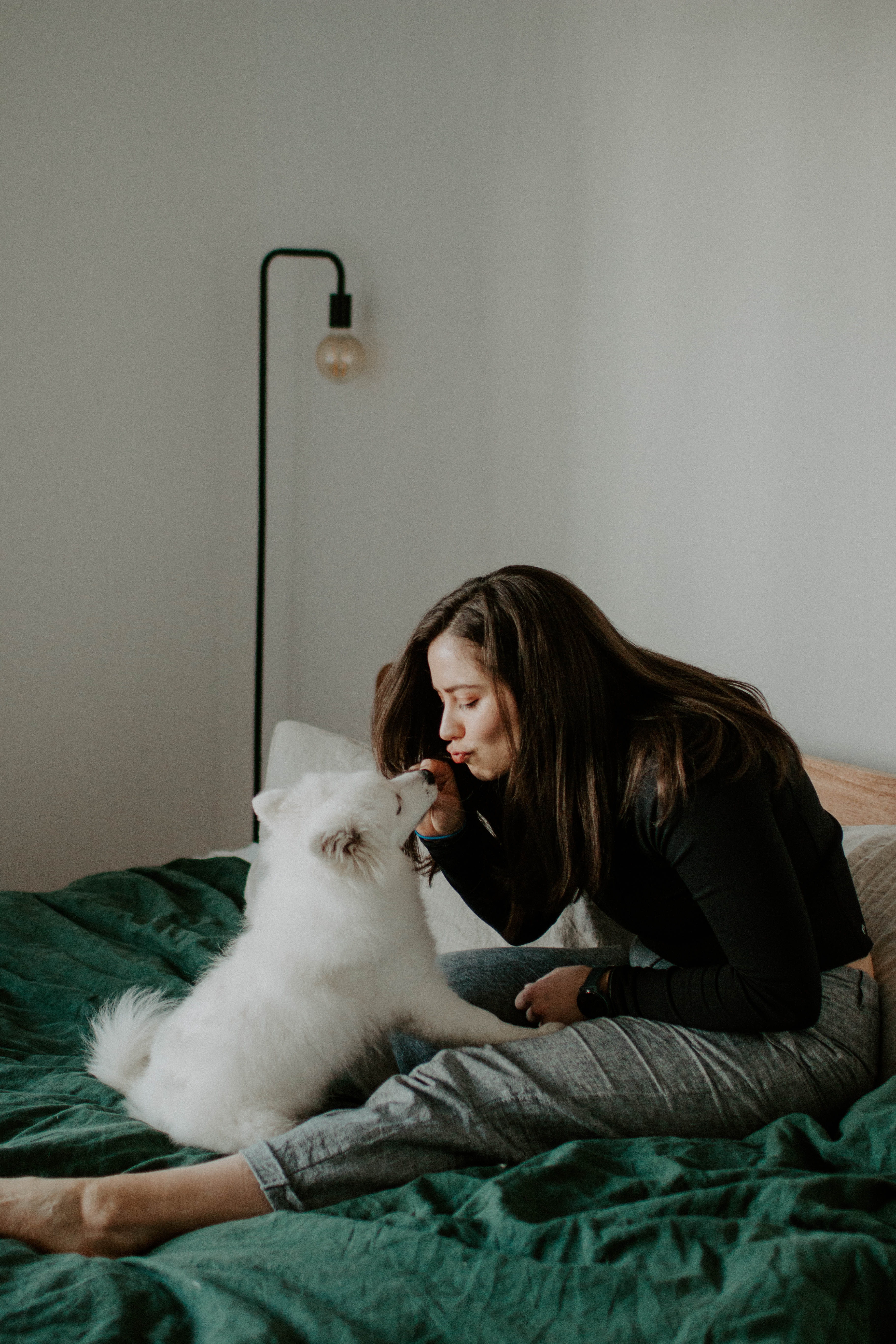 puppy photography, melbourne, lifestyle home photoshoot