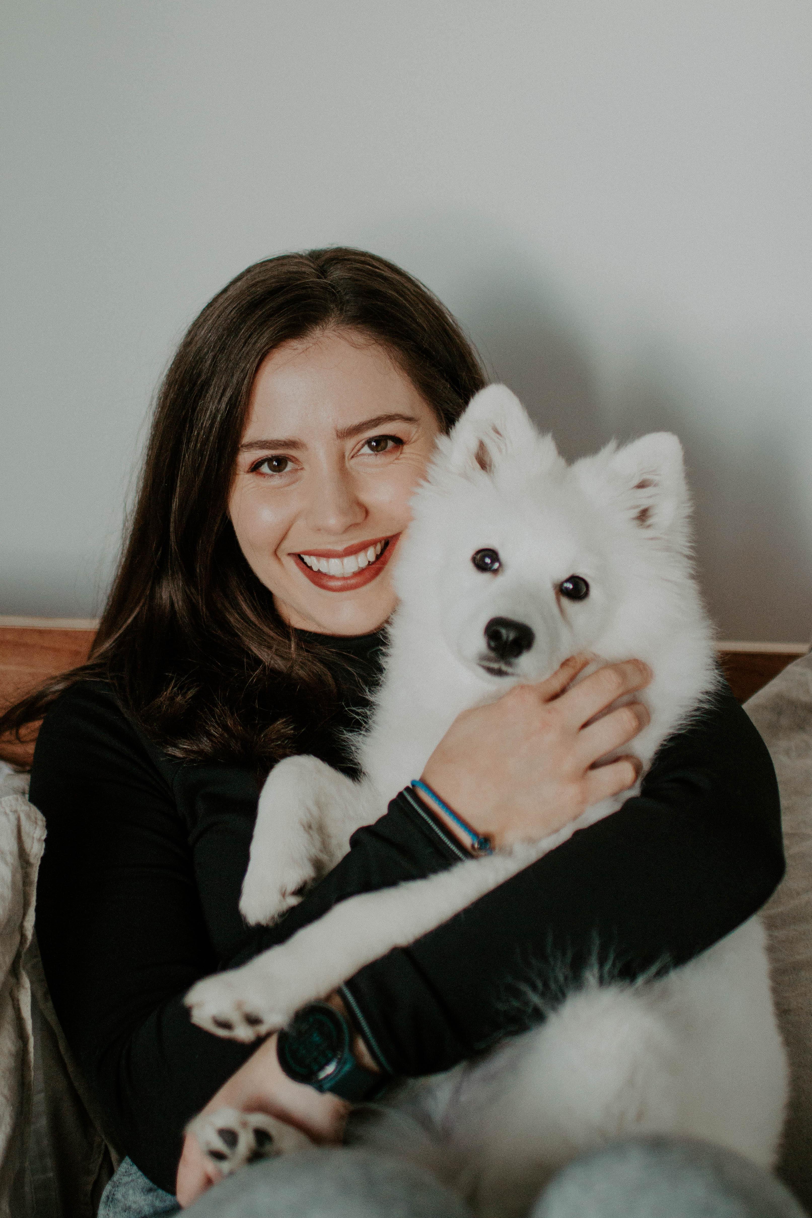 puppy photography, melbourne, lifestyle home photoshoot