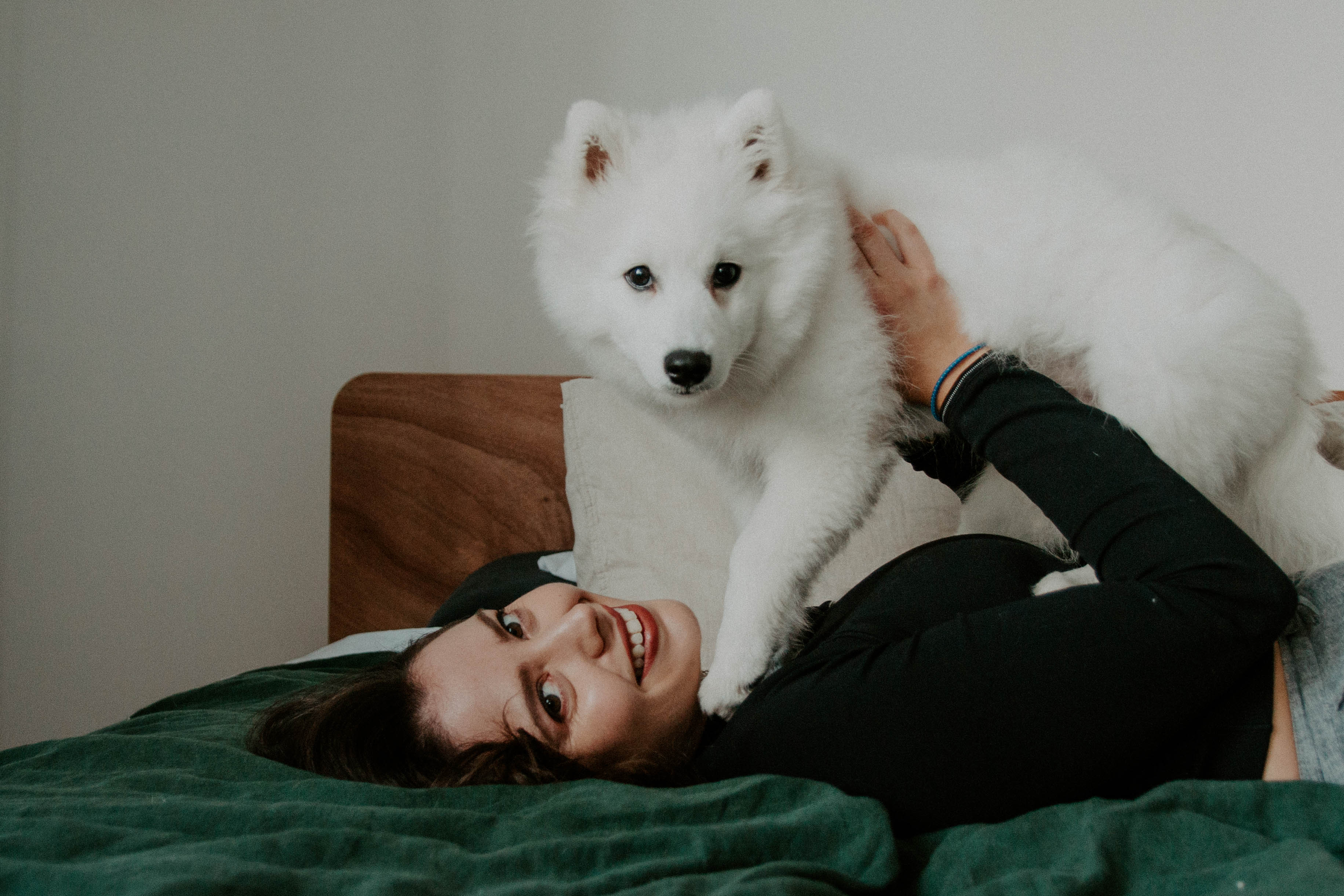puppy photography, melbourne, lifestyle home photoshoot