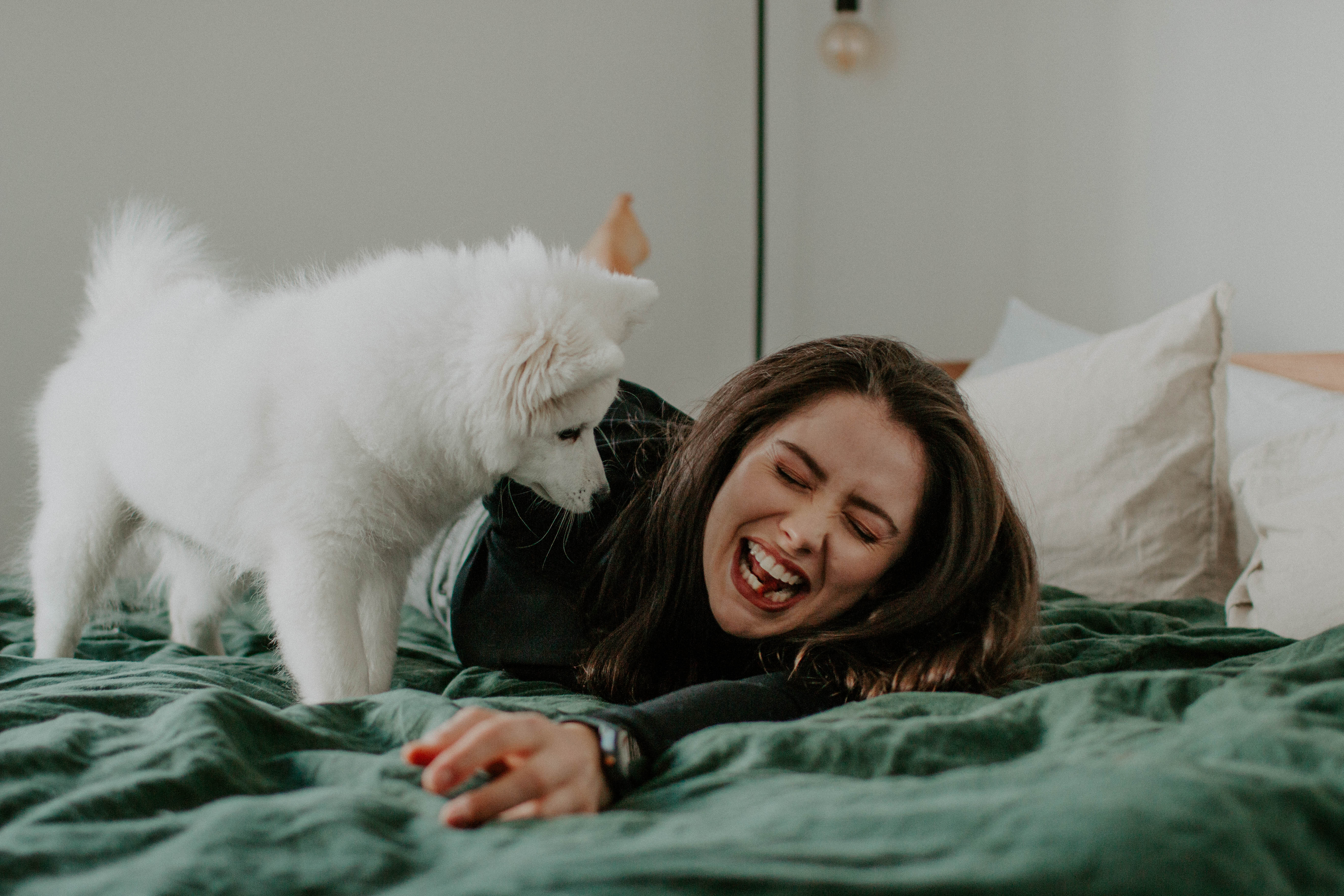 puppy photography, melbourne, lifestyle home photoshoot