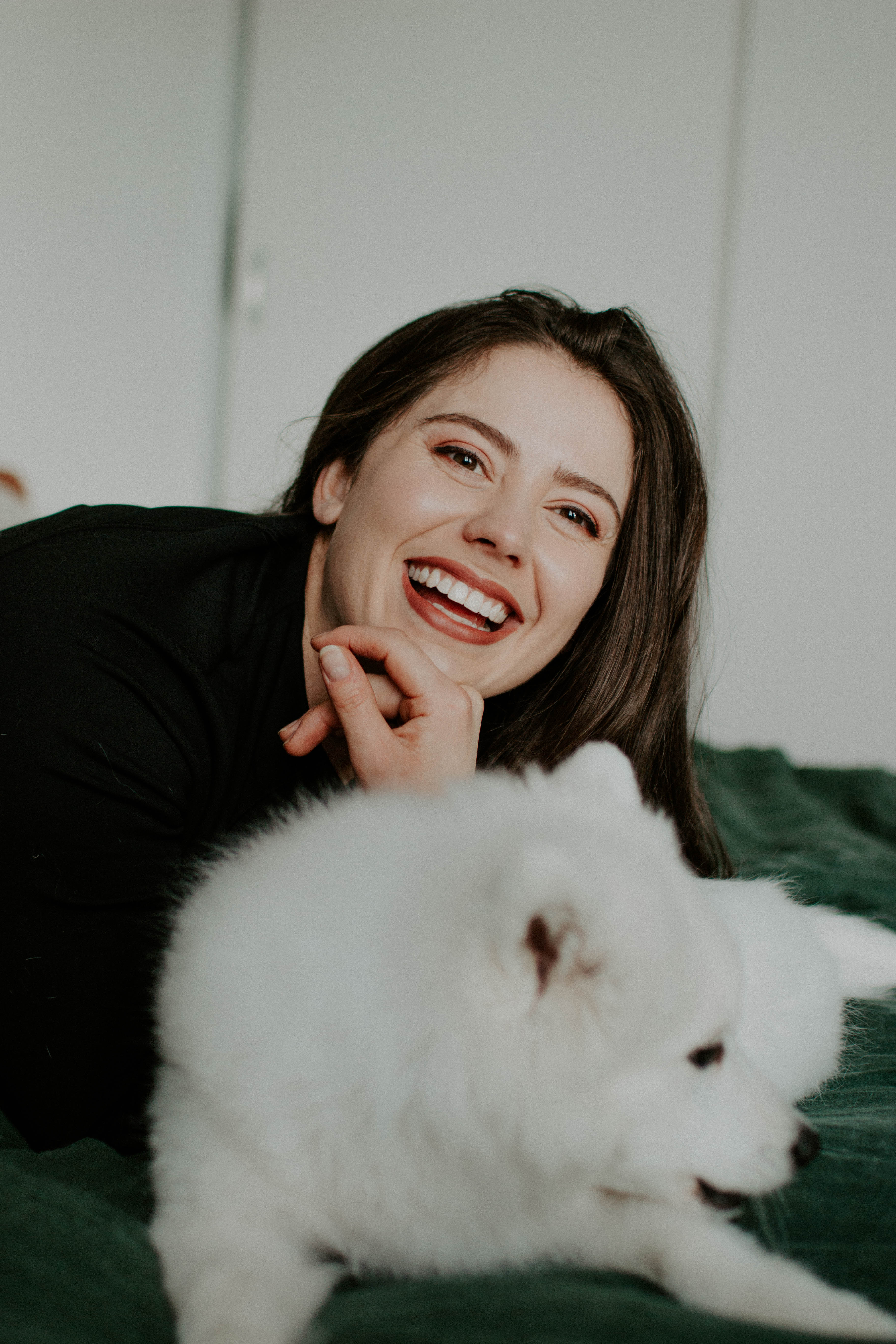 puppy photography, melbourne, lifestyle home photoshoot