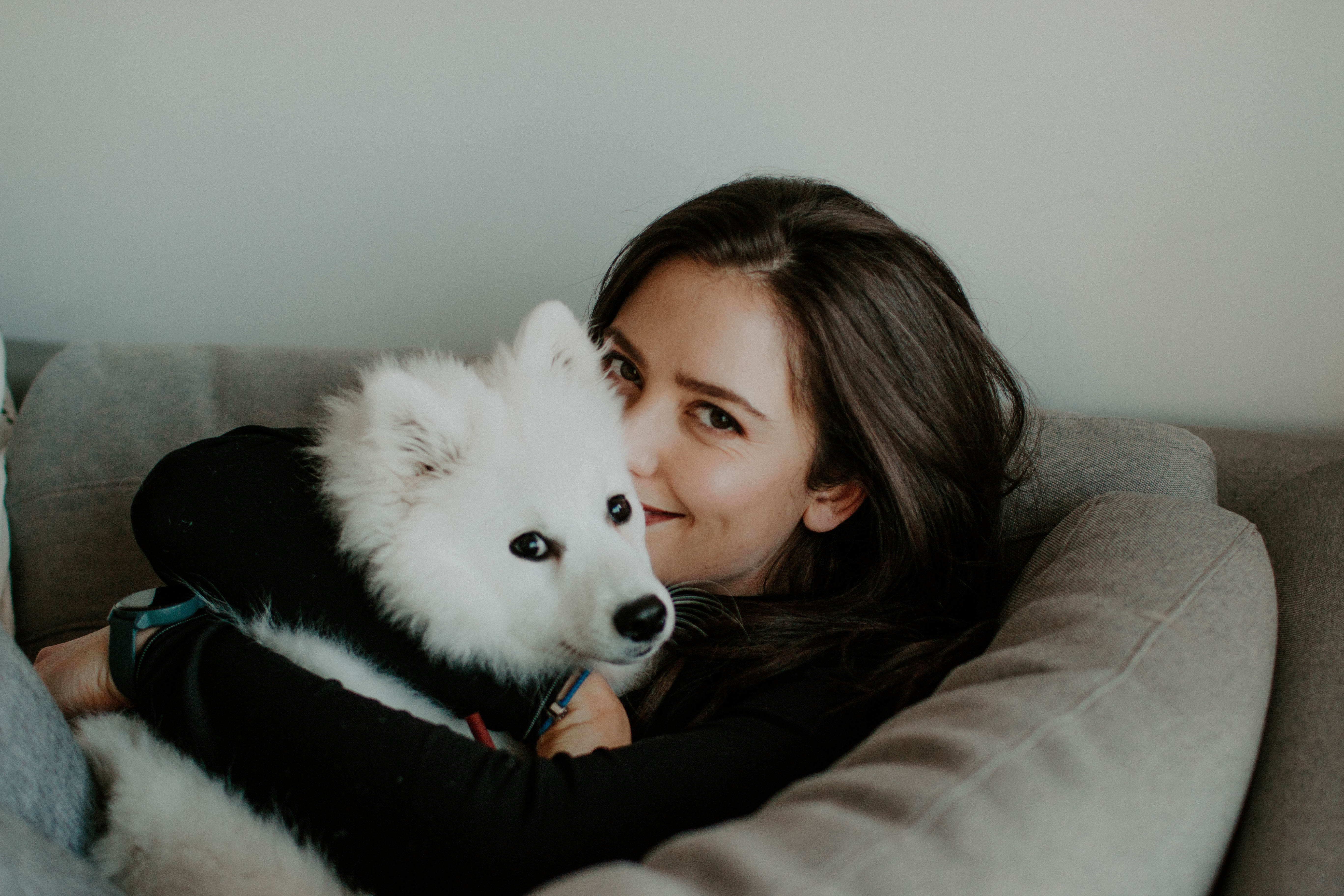 puppy photography, melbourne, lifestyle home photoshoot